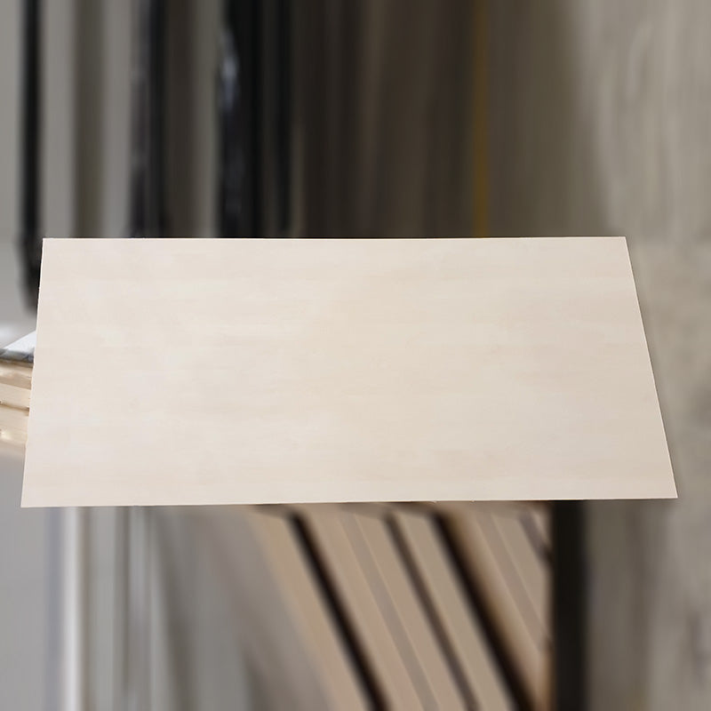 Plate lys bjerk 160 x 80 cm
